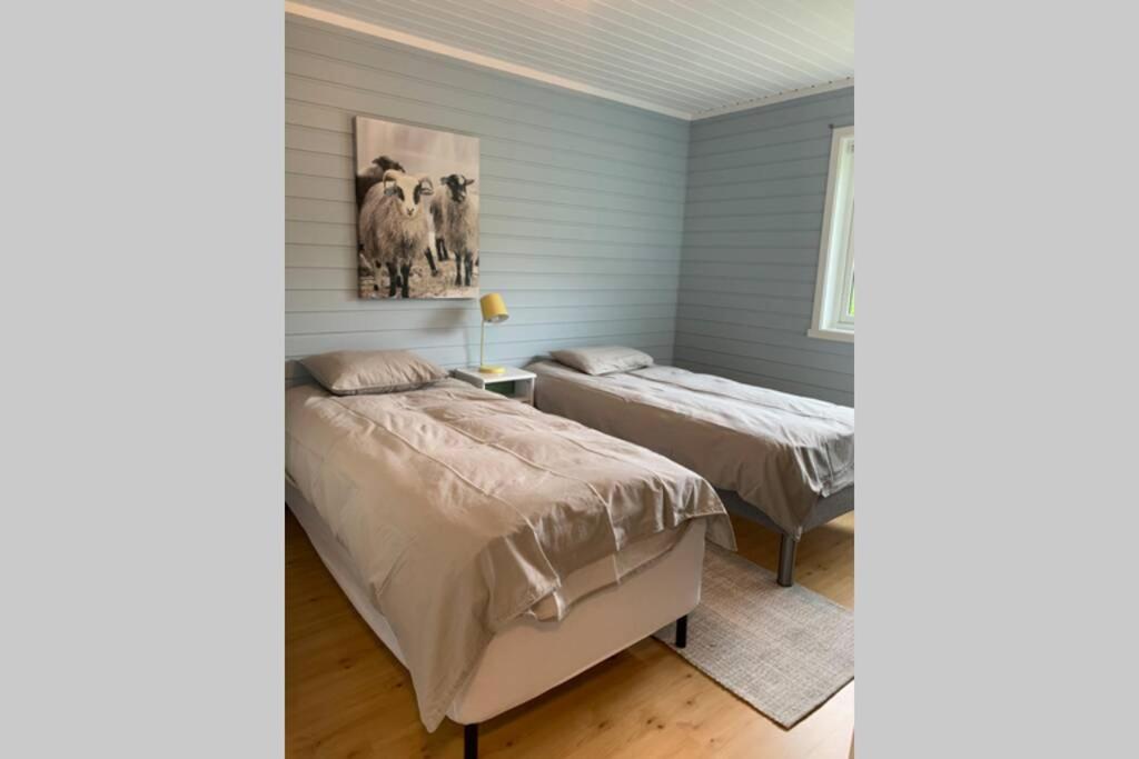 Efjord And Stetind Resort - Cabin Kobbernestinden Ballangen エクステリア 写真