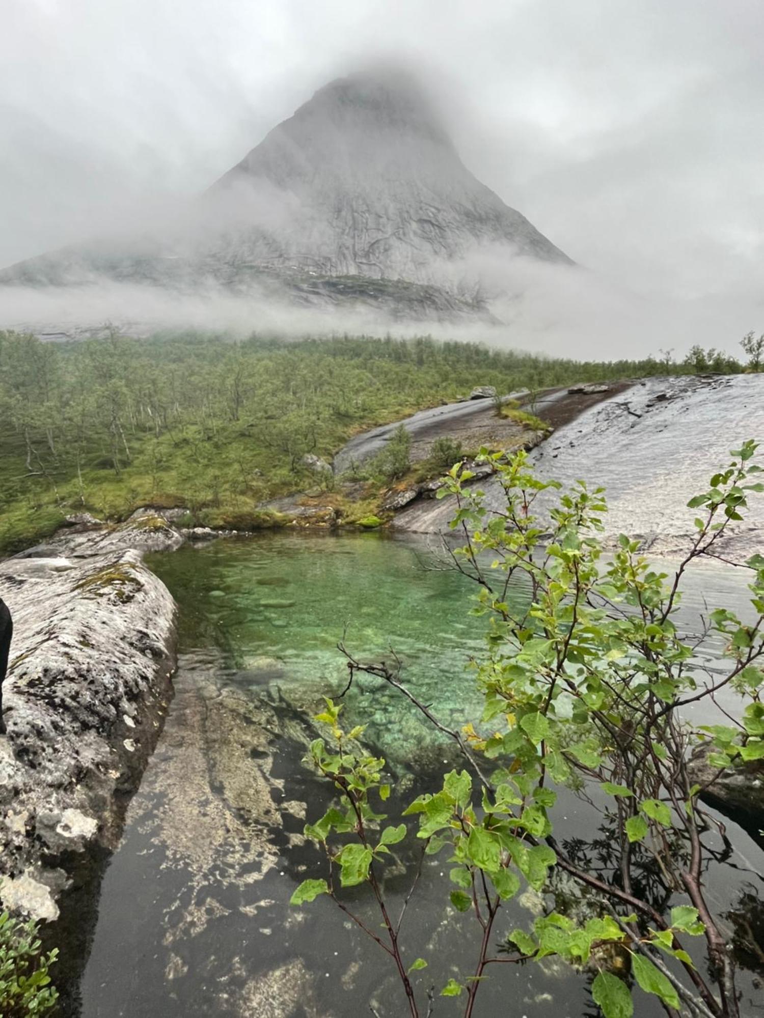 Efjord And Stetind Resort - Cabin Kobbernestinden Ballangen エクステリア 写真